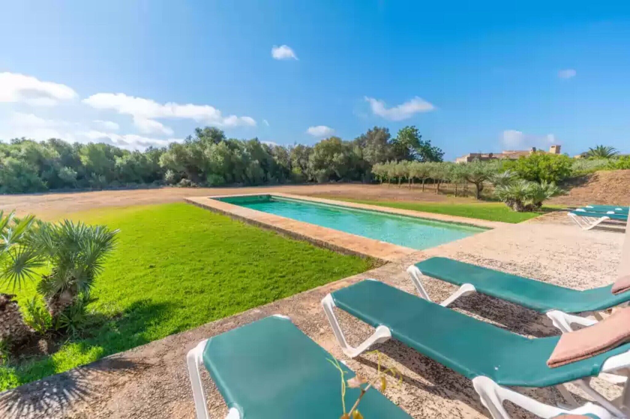 A pool area with green lawn and lounge chairs.