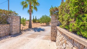 A stone pathway leading to a building with a stone wall on one side and a palm tree in the center.