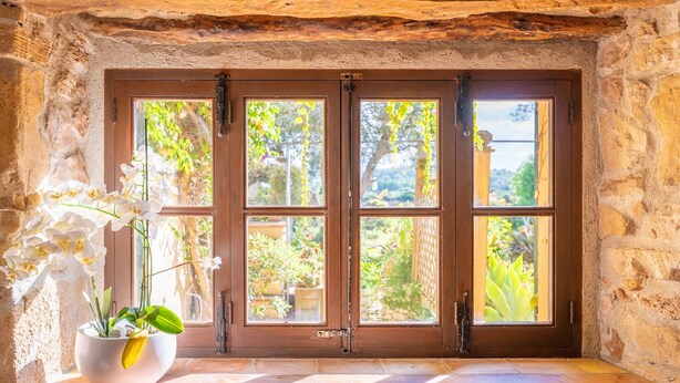 A stone wall with a wooden door and window, a potted plant, and a tiled bench.
