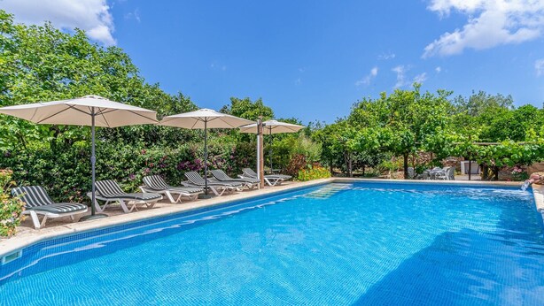 A swimming pool with lounge chairs and umbrellas, surrounded by lush greenery. - Cas Consul - Villa With Private Pool. Free Wifi (Sant Miquel De Balasant, Illes Balears)