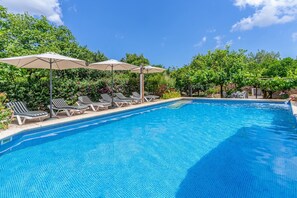 Piscina con sillas de descanso y sombrillas, rodeada de exuberante follaje.