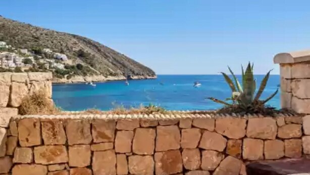 A coastal view with a stone wall and a plant.