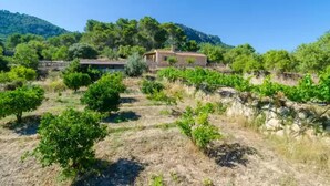 A rural property with a small house surrounded by vineyards and trees. - S'aresta Den Rumbet - Villa With Private Pool (Llucmajor, Illes Balears)