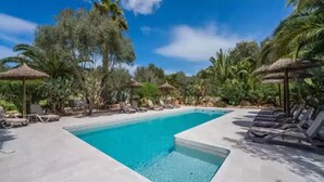 Una piscina rettangolare con acqua cristallina, circondata da lettini e palme.