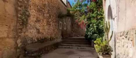 A narrow alleyway with stone walls, a staircase leading to a building, and a potted plant on the right.