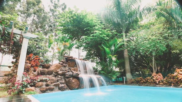 Piscina con cascada rodeada de exuberante vegetación y rocas.