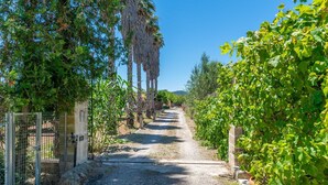 Un sendero de grava bordeado por exuberante vegetación y altos árboles, que conduce a un portón.