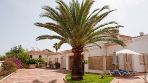 Un patio con una palmera, un edificio blanco de techo a tejas y una zona de estar cubierta con sillones reclinables azules.
