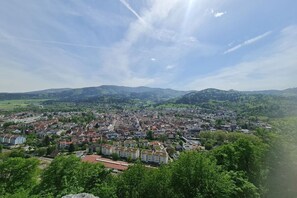 Miscellaneous - on the avenue Comfortable holiday residence (Waldkirch)