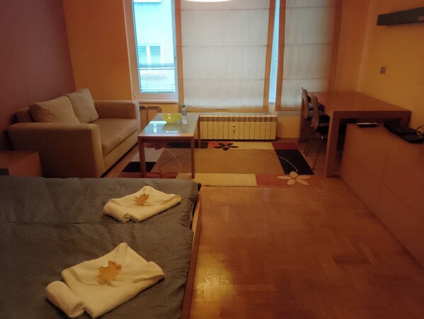 1 bedroom, iron/ironing board, WiFi