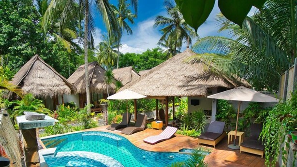 Un espace piscine agrémenté de chaises longues, d’une structure à toit de chaume et d’une végétation tropicale.