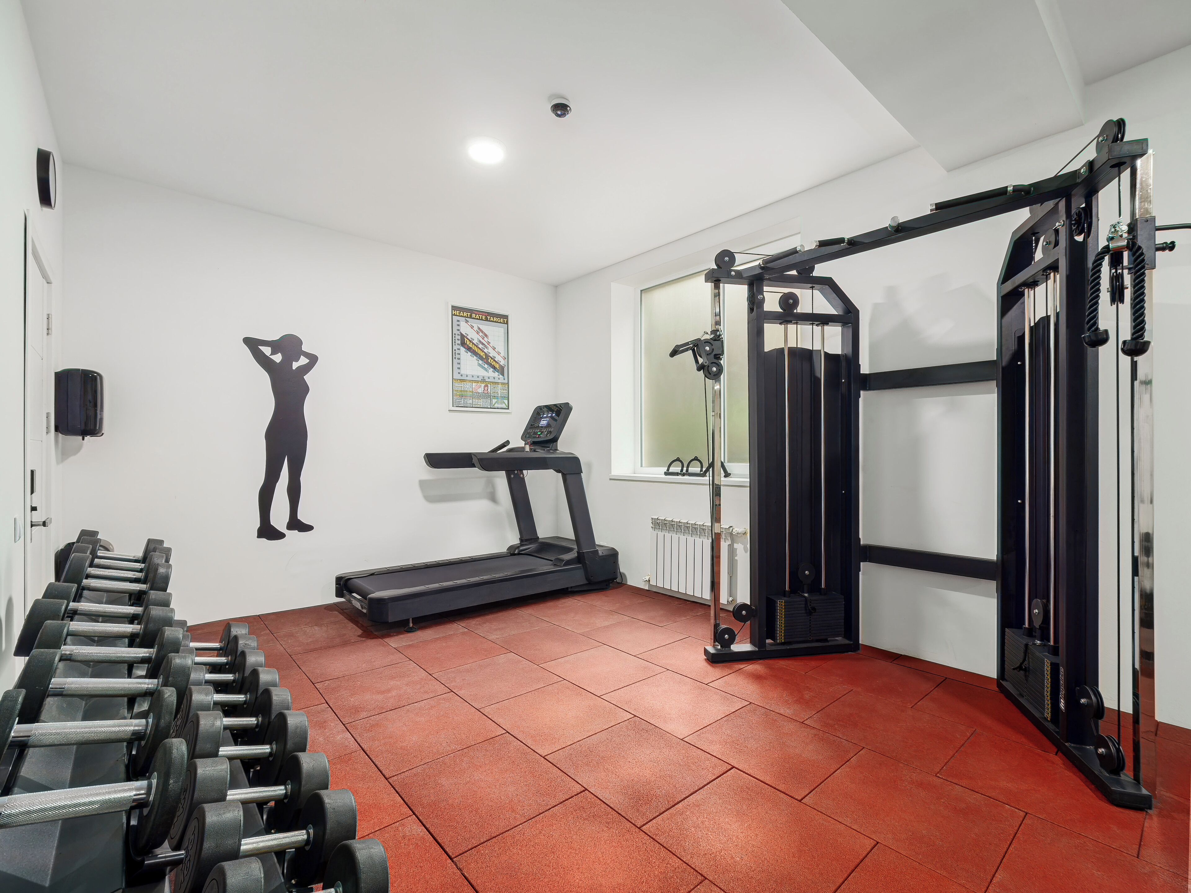 A gym with a treadmill, weight bench, and a squat rack.