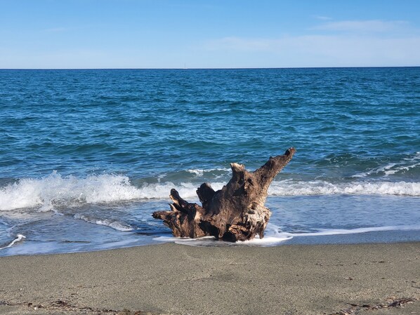 Plage