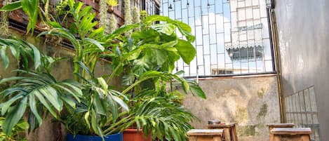 A courtyard with potted plants, wooden stools, and a metal fence.