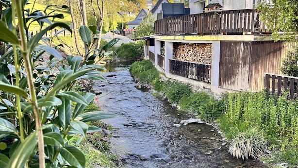 A river flowing through a residential area with houses on one side and a wooden fence on the other. - Comfortable and versatile room -perfect for relaxation, work and exchange (Winterberg)