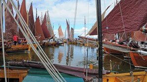 Un puerto deportivo con varios veleros amarrados.