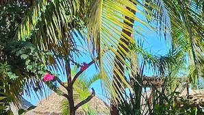 A tropical outdoor area with a wooden table and chairs, surrounded by palm trees and a thatched roof structure. - Villa Bahati Zanzibar (Jambiani)