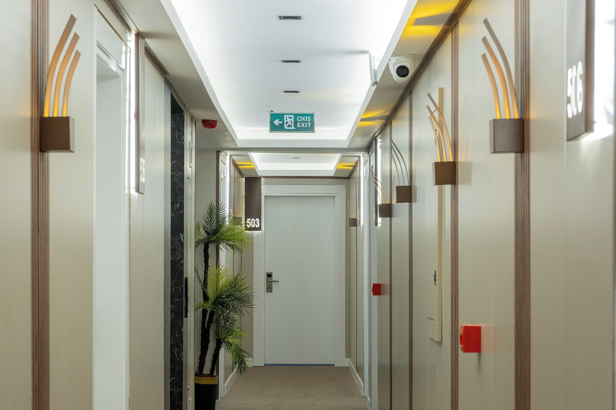 A hotel hallway with a ceiling exit sign, a door labeled "503", and a potted plant.