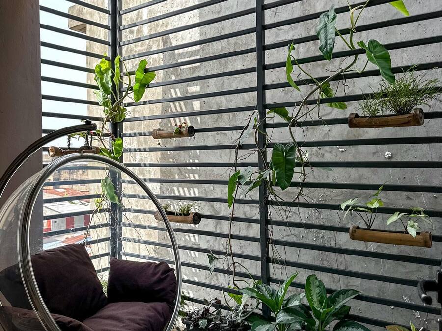 Un intérieur moderne avec un fauteuil suspendu, un mur en béton orné de plantes et une vue par la fenêtre.