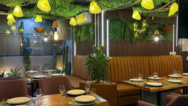 Ein Restaurantinneres mit Grünpflanzen an der Decke, gelben Hängelampen und einem gedeckten Holztisch.