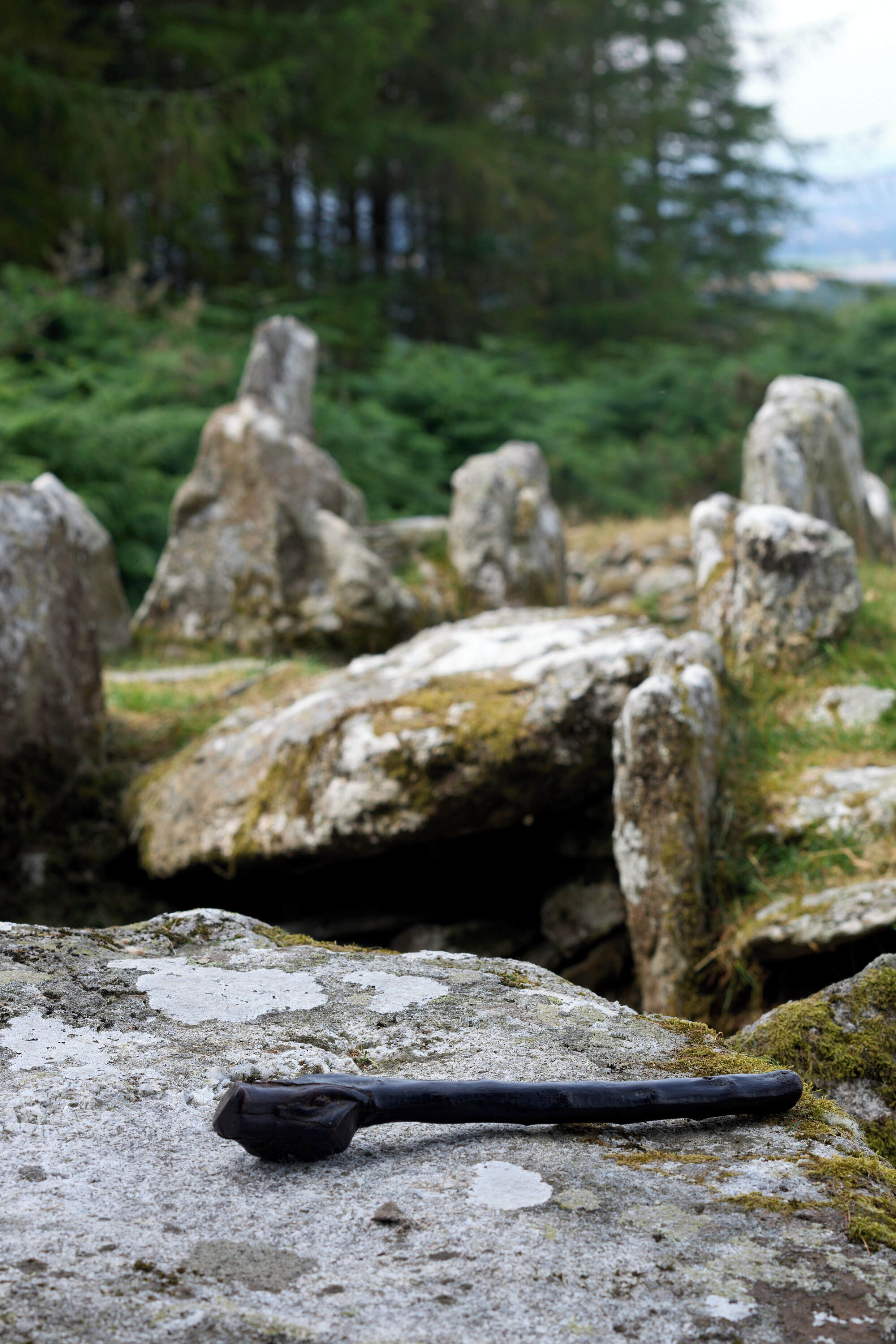 A black walking stick on a moss-covered rock with a forest in the background.