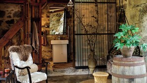 A rustic interior with a wooden chair, a rustic sink, and a potted plant. - Crab Lane Studios (Shillelagh)