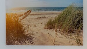 A beach path leading to the ocean with sand and grass on either side. - Vacation apartment "Studio" by the lake in Waren (Müritz) (Waren (Müritz))