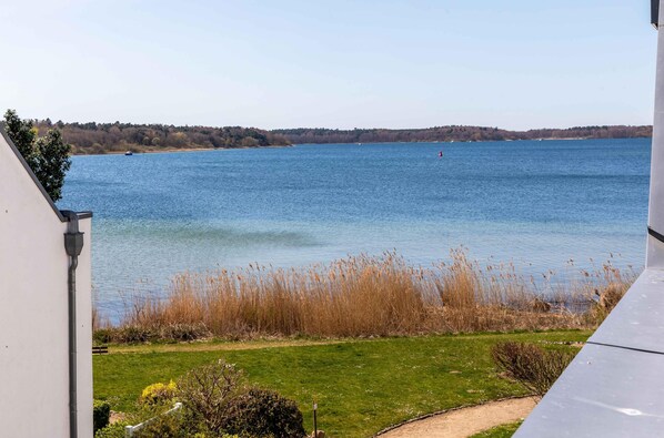 Vista d'un llac des d'un balcó, amb primer primer pla herbaci i una riba llunyana.