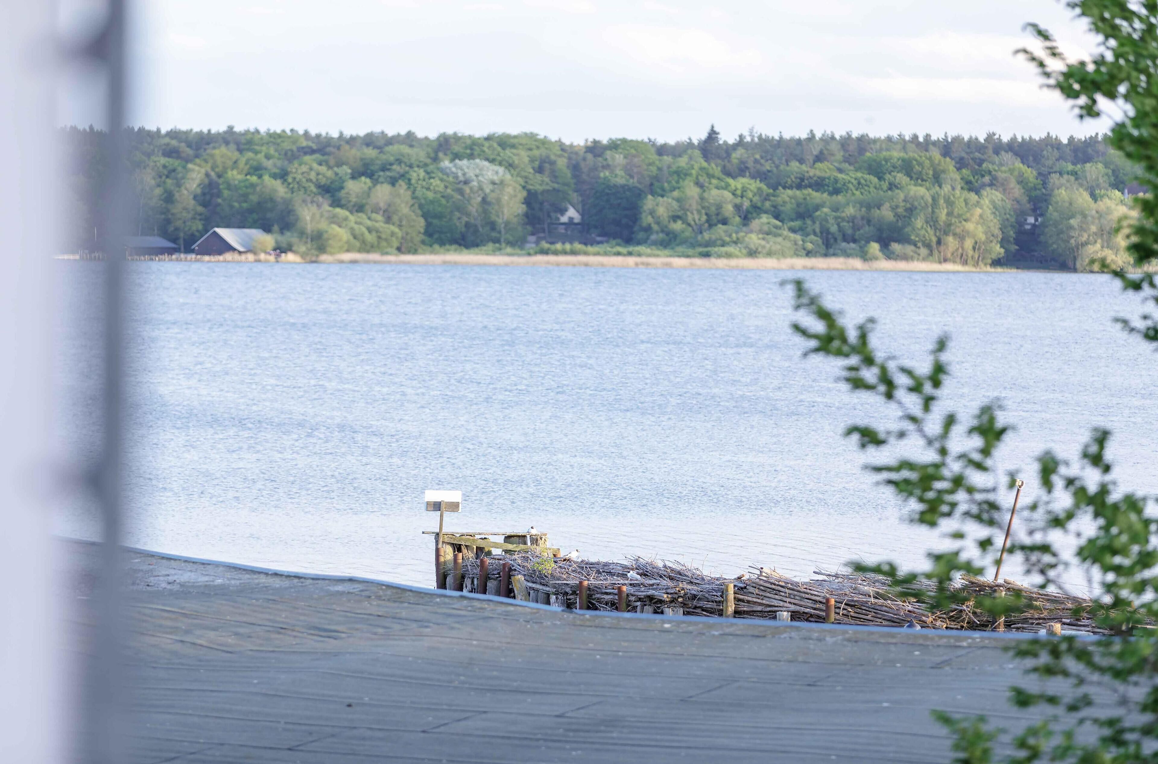 A waterfront view with a dock and a house in the background.