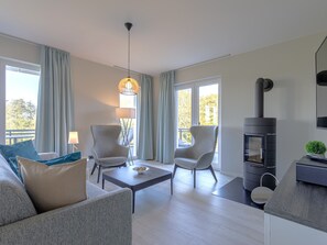 Télévision, cheminée, chaîne hi-fi