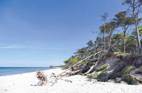 Beach nearby. Vacation apartment "Kleine Strandmuschel" between the Baltic Sea and the Bodden