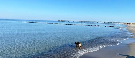 Vlak bij het strand