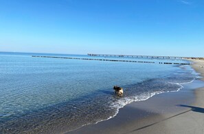 Una spiaggia nelle vicinanze