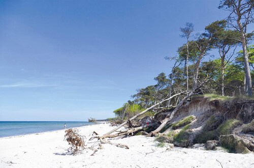 5 Sterne Ferienwohnung „Strandblick“ mit Balkon in Wustrow