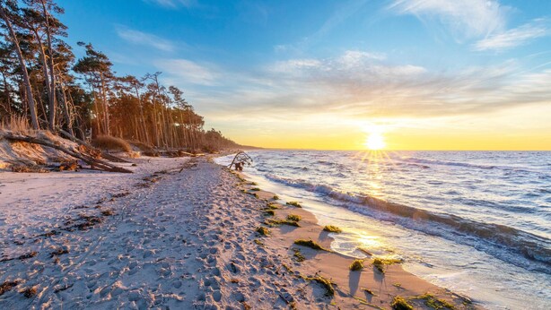 A beach with a clear sky, ocean waves, and a sunset. - Vacation apartment "Große Stranddüne" in Wustrow on the Baltic Sea (Wustrow)