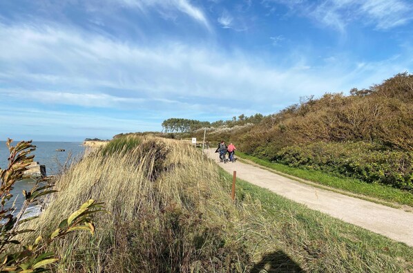 Un sendero costero con hierba y arbustos, cielo despejado y una vista distante del mar.