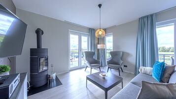 Télévision, cheminée, chaßne hi-fi