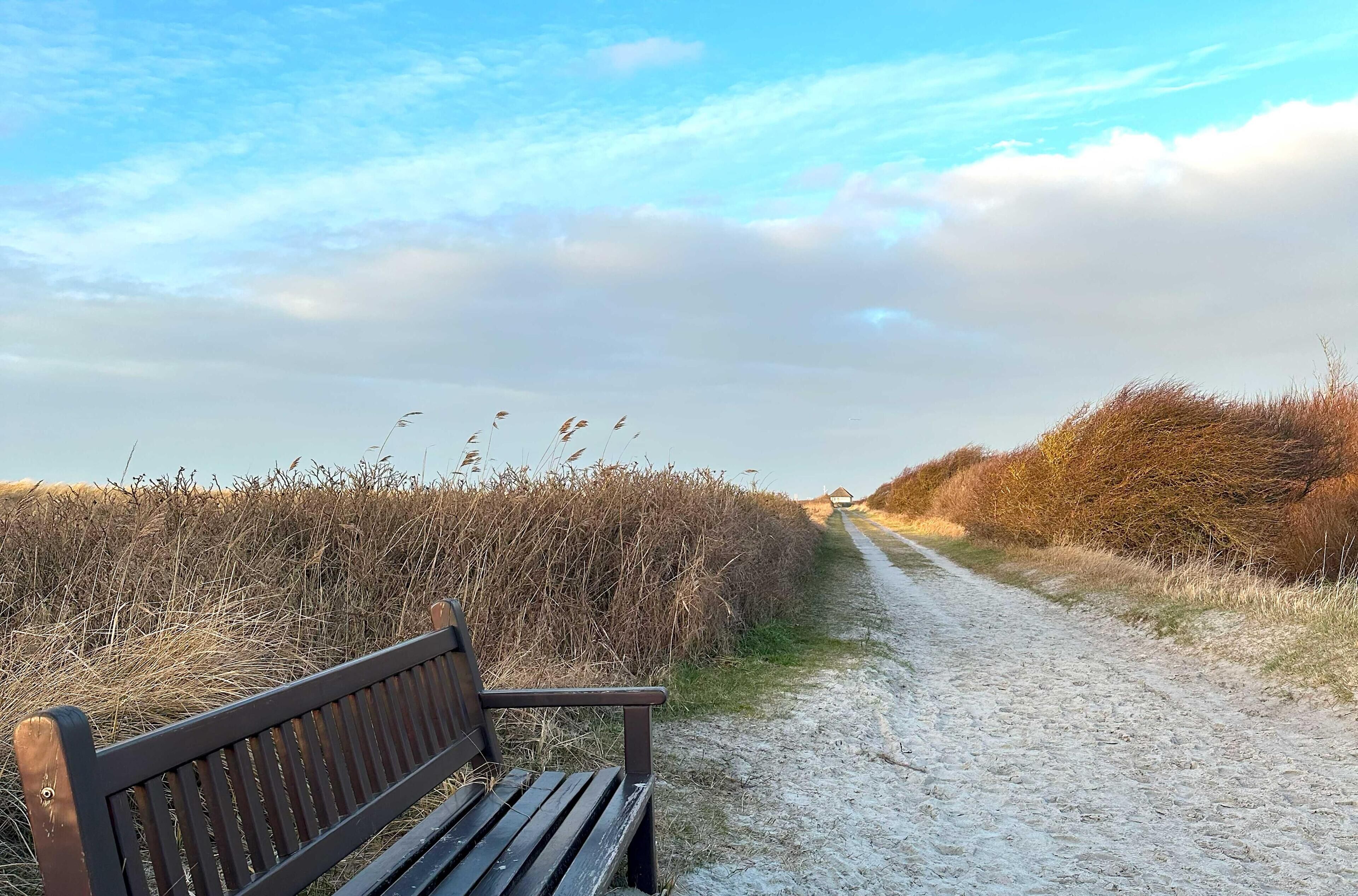 A bench on a gravel path with dry grass on either side.