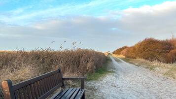 Eine Bank an einem Kiesweg, flankiert von trockenem Gras.