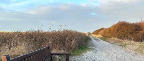 A bench on a gravel path with dry grass on either side.