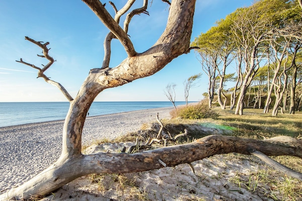 In Strandnähe