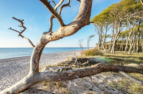 5-Star Francis Drake Suite Vacation Apartment on the Baltic Sea, Including a Beach Chair