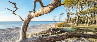 5-star Boddenidylle vacation apartment with balcony and view of the Bodden and Baltic Sea