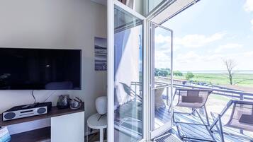 Fernseher, Stereoanlage