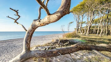Vlak bij het strand
