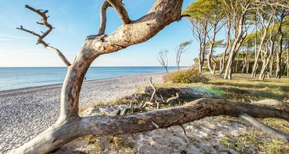5-Sterne Ferienapartment James Cook Suite mit Strandkorb im Ostseebad Wustrow