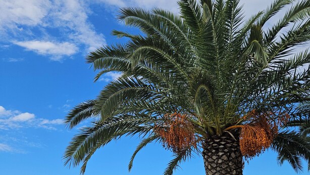 منظر من الجو على ارتفاع عالٍ