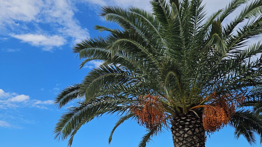 Kristal Paris Resort