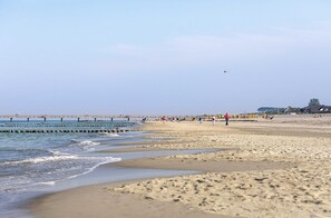 Playa en los alrededores 