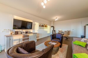 Télévision, cheminée, chaîne hi-fi